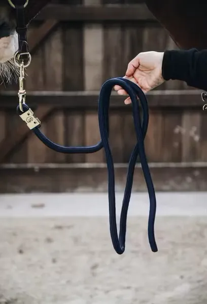 Hovedbilde Kentucky Leietau