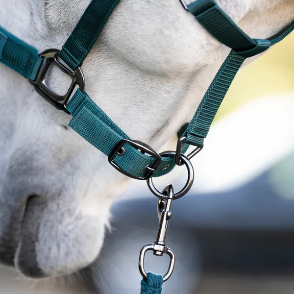 Hovedbilde Horseware Grime og Leietau - Dynasty Green