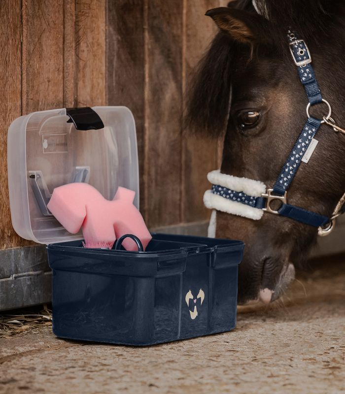 Lucky Grooming Box