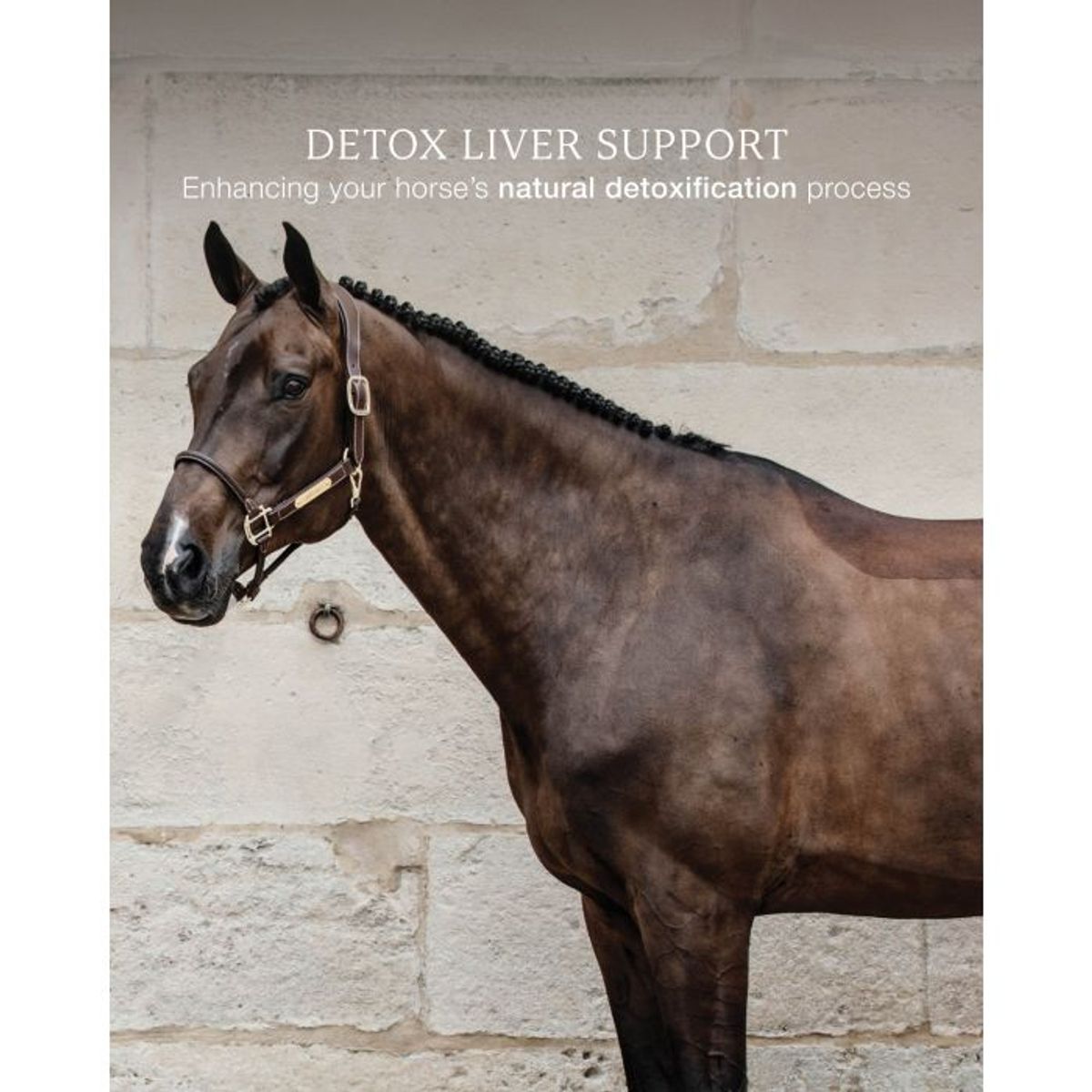 Grooming Deluxe Detox Liver Support 750g