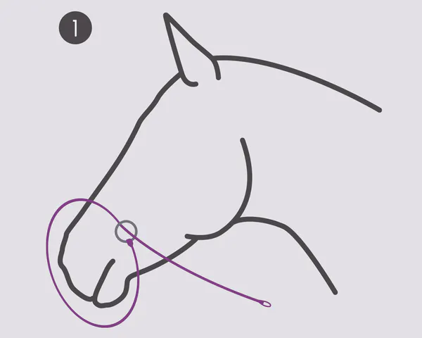 Hovedbilde Grime til fotografering