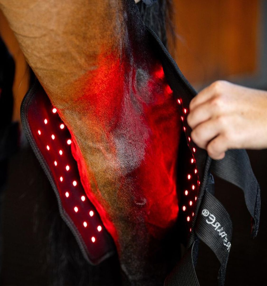 Horseware LED Red Light Therapy Hase Boot - Venstre
