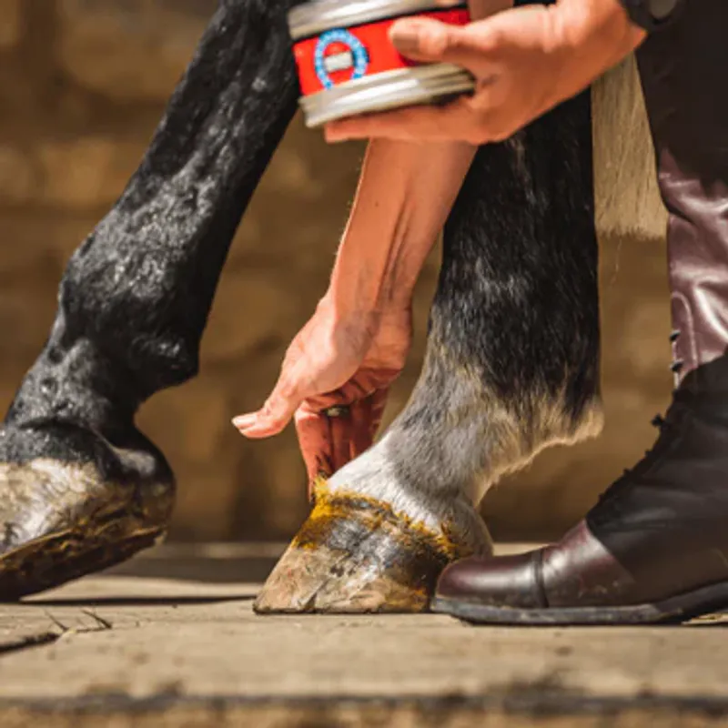 CDM Cornucrescine Original Hoof Ointment - 500 ml