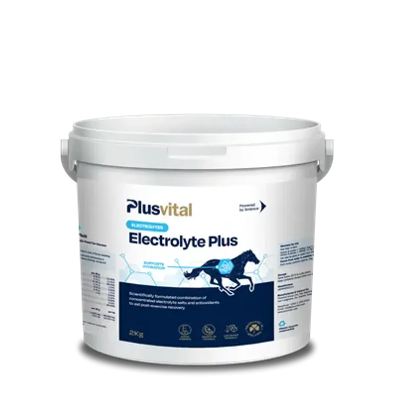 Plusvital Electrolyte Plus 2kg