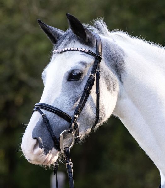 Hovedbilde Happy Hearts Hodelag