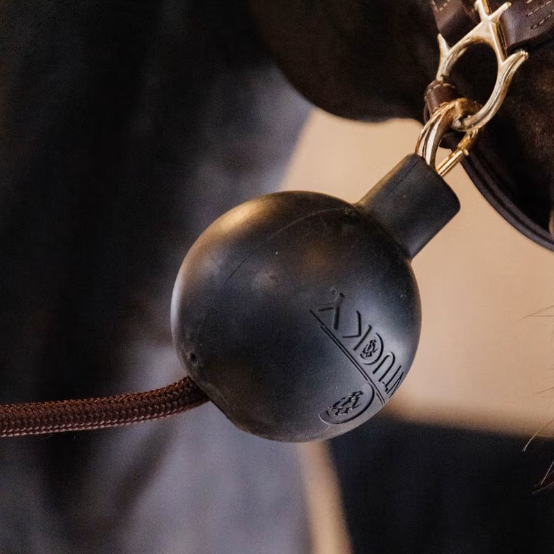 Kentucky Lead & Wall Protection Rubber Ball