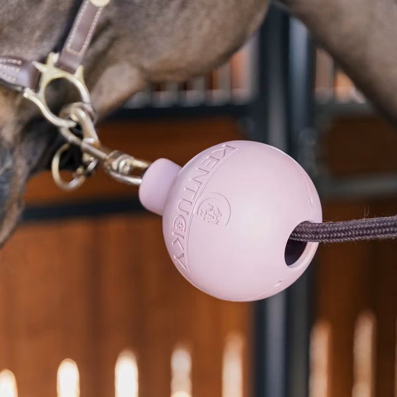 Kentucky Lead & Wall Protection Rubber Ball