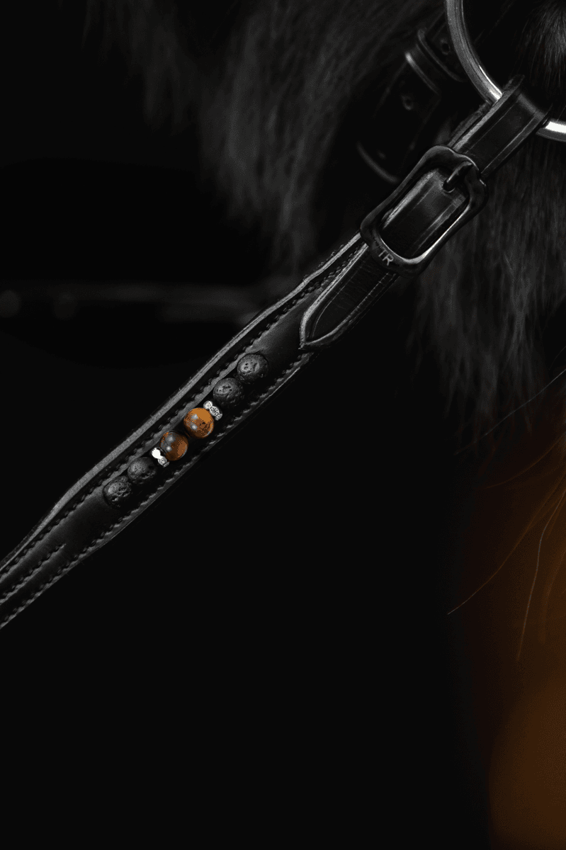 Top Reiter Orka Lærtøyler m/stoppere