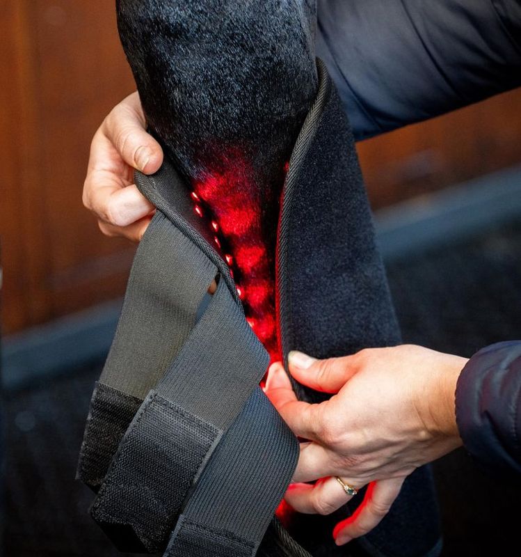 Horseware LED Red Light Therapy Leg Wrap - Høyre