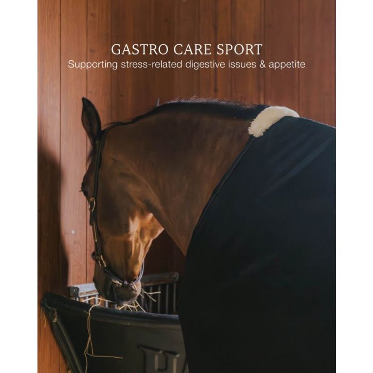 Grooming Deluxe Gastro Care Sport 600g