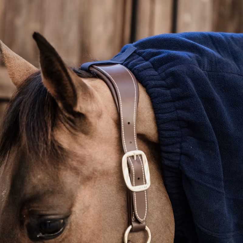 Kentucky Heavy Fleece Scarf