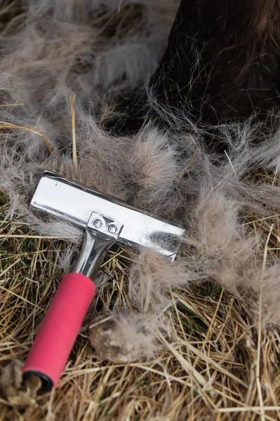 Hovedbilde Top Reiter Curry Comb med Gel Grip