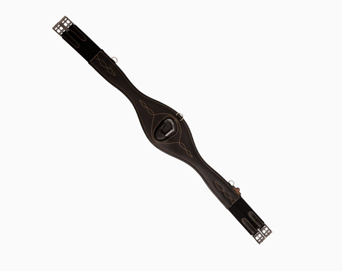 Kentucky Anatomisk Gjord