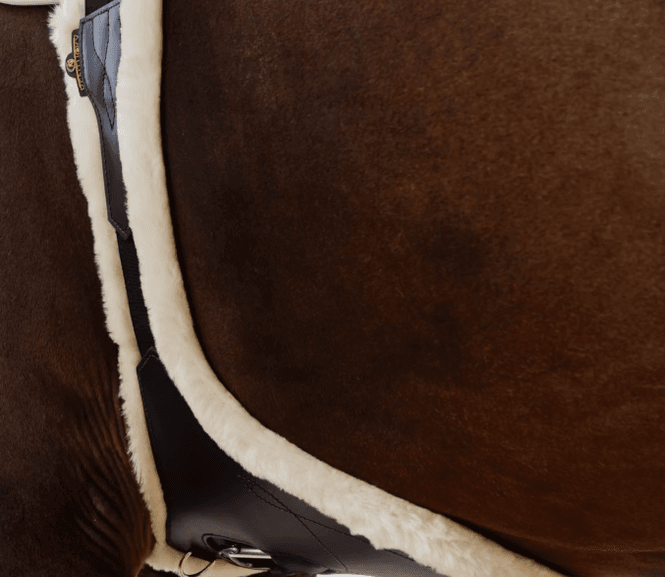 Hovedbilde Kentucky Anatomisk Plategjord m/saueskinn 