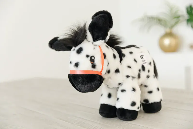 Piccoli Donkey - Chrissy